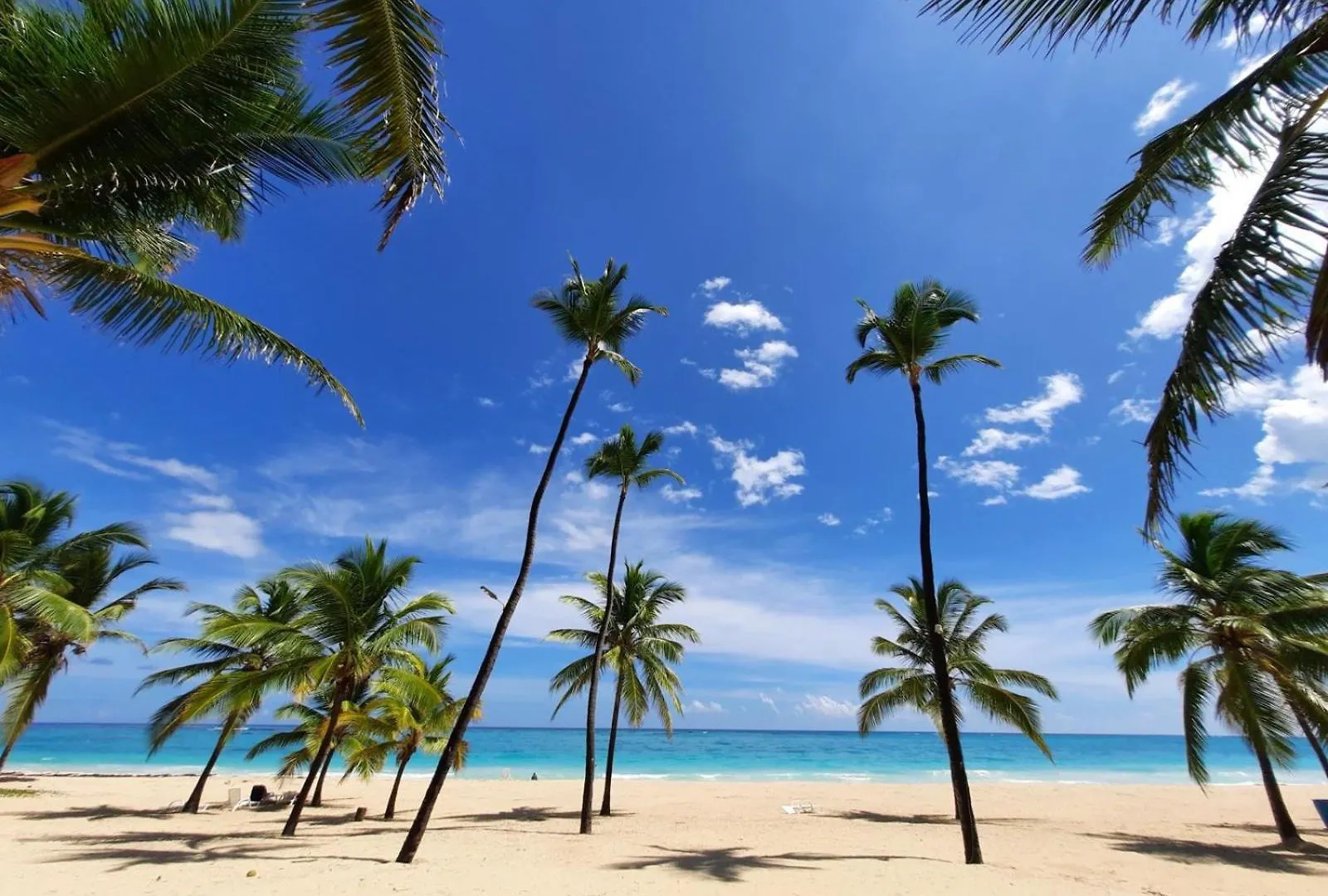 Palms B302 - Rooftop Privat Pool 2Br Appartement Mit Beach Shuttle Punta Cana